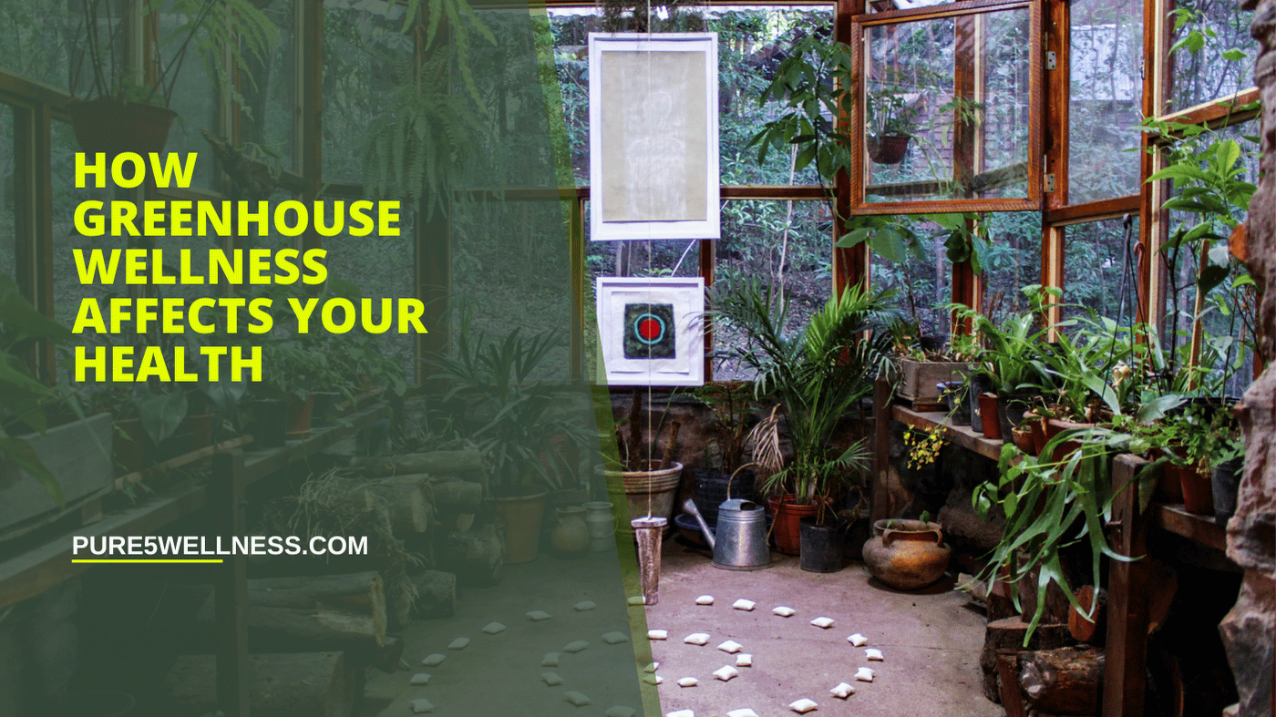 How Greenhouse Wellness Affects Your Health